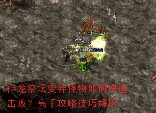 ������̳���������ο��ٻ��ܣ����ֹ��Լ��ɽ���