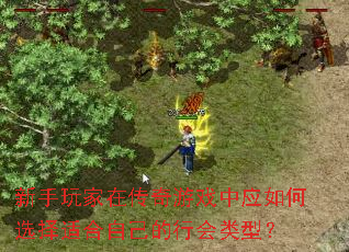 ��������ڴ�����Ϸ��Ӧ���ѡ���ʺ��Լ����л����ͣ�