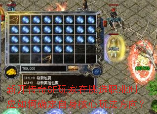 �¿�����SF�������ѡְҵʱӦ���ȷ�����������淨����