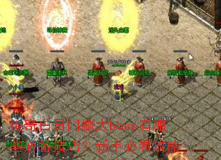 ���������ˢ��boss����Щ�ر����ɣ����ֱؿ�����