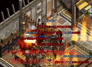 �ڴ���˽������ο���������������Щ�������ɳ弶