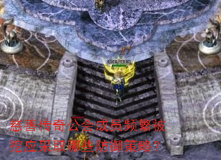 ���ƴ��湫���ԱƵ������Ӧ��ȡ��Щ�������ԣ�