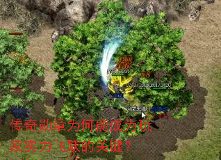 ����ѫ��Ϊ���ܳ�Ϊ���ʵ����Ծ�Ĺؼ���