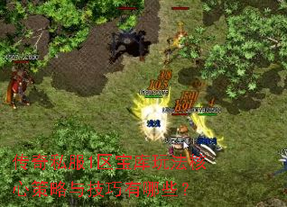 ����˽��1�������淨���Ĳ����뼼������Щ��