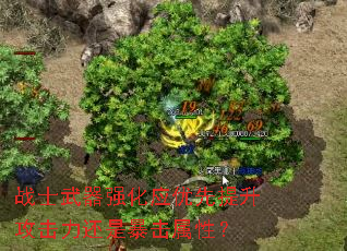 սʿ����ǿ��Ӧ�����������������Ǳ������ԣ�