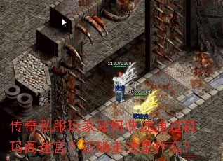 ����˽�������ο���ͨ��������Թ�����ȷ�߷���ʲô��