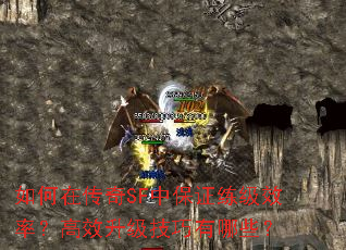 ����ڴ���SF�б�֤����Ч�ʣ���Ч������������Щ��