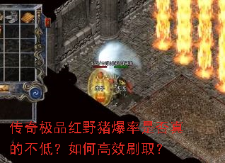 ���漫Ʒ��Ұ�������Ƿ���Ĳ��ͣ���θ�Чˢȡ��