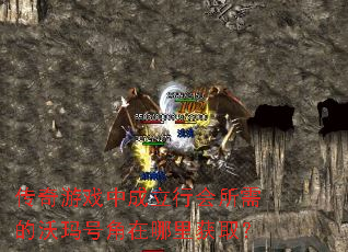 ������Ϸ�г����л����������Ž��������ȡ��