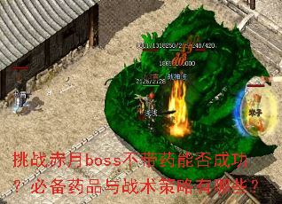 ��ս����boss����ҩ�ܷ�ɹ����ر�ҩƷ��ս����������Щ��