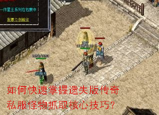 ��ο���������ʧ�洫��˽������ץȡ���ļ��ɣ�