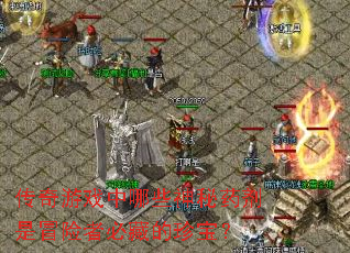 ������Ϸ����Щ����ҩ����ð���߱زص��䱦��