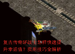 ���Ŵ���SFսʿ����������������ֵ��ʵ�ü���ȫ����