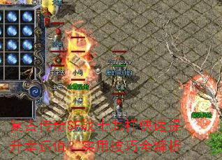 ���Ŵ���SFսʿ����������������ֵ��ʵ�ü���ȫ����