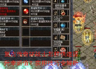 ���Ŵ���SFսʿ����������������ֵ��ʵ�ü���ȫ����