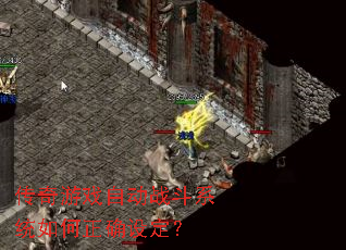 ������Ϸ�Զ�ս��ϵͳ�����ȷ�趨��