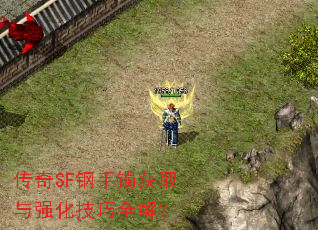 ����SF��������ȡ��ǿ������ȫ�⣿