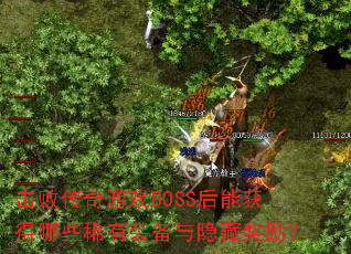 ���ܴ�����ϷBOSS���ܻ����Щϡ��װ�������ؽ�����