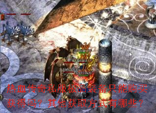 ��Ѫ����˽����Ʒװ��ֻ�ܹ�������������ȡ��ʽ����Щ��