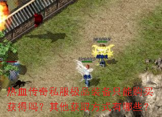 ��Ѫ����˽����Ʒװ��ֻ�ܹ�������������ȡ��ʽ����Щ��