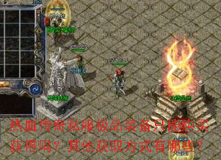 ��Ѫ����˽����Ʒװ��ֻ�ܹ�������������ȡ��ʽ����Щ��