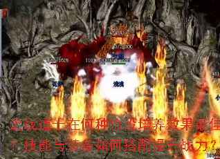 ��ս��ʿ�ں��ֽ׶�����Ч����ѣ�������װ����δ�������ս����