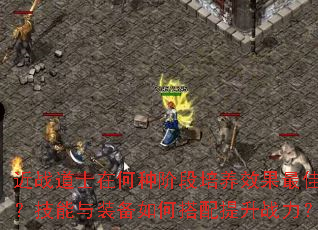 ��ս��ʿ�ں��ֽ׶�����Ч����ѣ�������װ����δ�������ս����