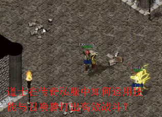 ��ʿ�ڴ���˽����������ü������ٻ��޴����Чս����