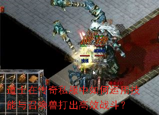 ��ʿ�ڴ���˽����������ü������ٻ��޴����Чս����