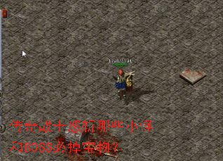 ����սʿŭն��ЩС�ֺ�BOSS�ص����