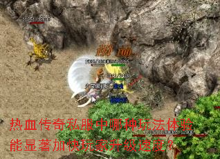 ��Ѫ����˽���������淨�����������ӿ���������ٶȣ�