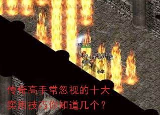 ������ֳ����ӵ�ʮ��ʵ�ü�����֪��������