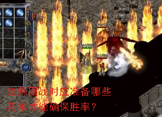 ��ʦ��սʱӦ׼����Щҩˮ����ȷ��ʤ�ʣ�