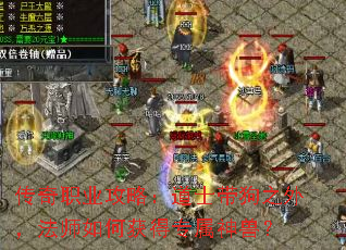 ����ְҵ���ԣ���ʿ����֮�⣬��ʦ��λ��ר�����ޣ�