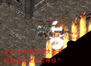 ���Ŵ�������ο��������ջ�֮�⼼�ܵȼ���