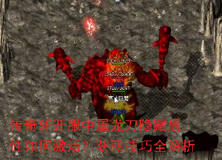 ����SF����������������������μ����ȡ����ȫ����