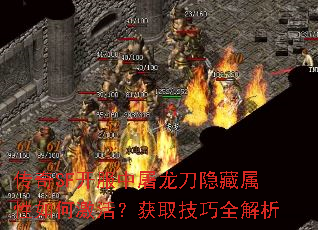 ����SF����������������������μ����ȡ����ȫ����