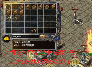 ����ڴ�����Ϸ�п�������������ݾ��������ɵǶ�