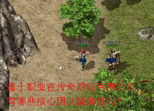 ��ʿְҵ�ڴ�����Ϸ���ڽ׶�����Щ�����ŶӸ������ɣ�