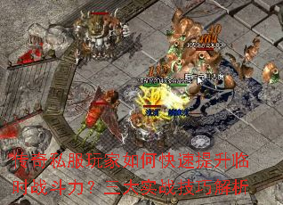 ����˽�������ο���������ʱս����������ʵս���ɽ���