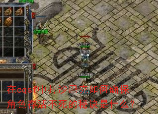 ��cqsf�д�ɳ�Ϳ����ȷ����ɫ�������ؾ���ʲô��