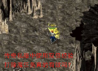 ����˽����ʹ��˫��������ħ���������Ч��