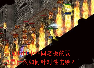 ţħHall�в�ͬ�ϰ��������ʲô�������Ի��ܣ�