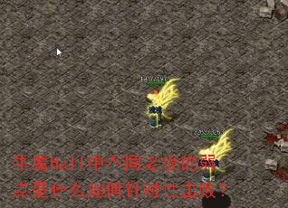 ţħHall�в�ͬ�ϰ��������ʲô�������Ի��ܣ�