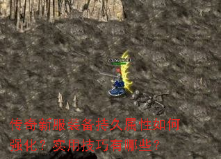 �����·�װ���־��������ǿ����ʵ�ü�������Щ��