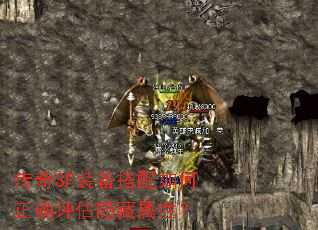 ����SFװ�����������ȷ�����������ԣ�