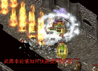 ��������ֵ��ο���������7����