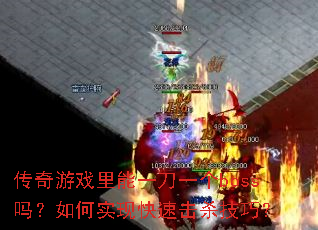 ������Ϸ����һ��һ��boss�����ʵ�ֿ��ٻ�ɱ���ɣ�