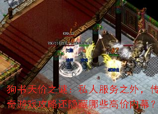 �������֮�գ�˽�˷���֮�⣬������Ϸ���Ի�������Щ�߼���Ļ��