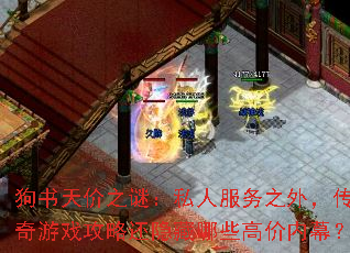 �������֮�գ�˽�˷���֮�⣬������Ϸ���Ի�������Щ�߼���Ļ��